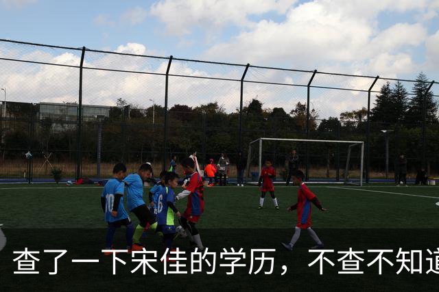 查了一下宋佳的学历，不查不知道，一查吓一跳！她竟然不是科班学表演出身的，而是学柳琴的，拿到音乐学院录取通知书才临时改行